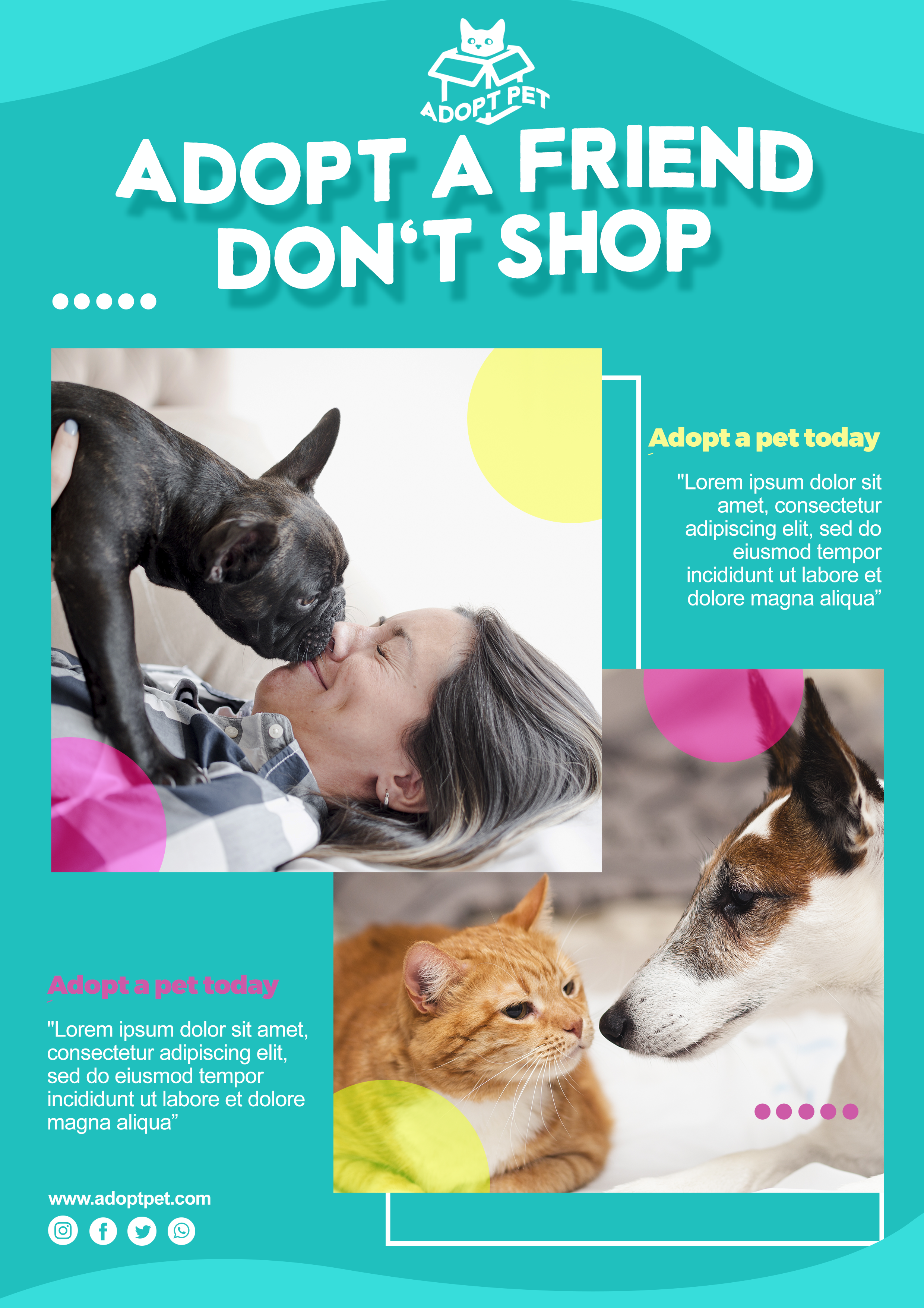  "Discover Your Perfect Companion: A Comprehensive Guide to SD Pet Adoption"