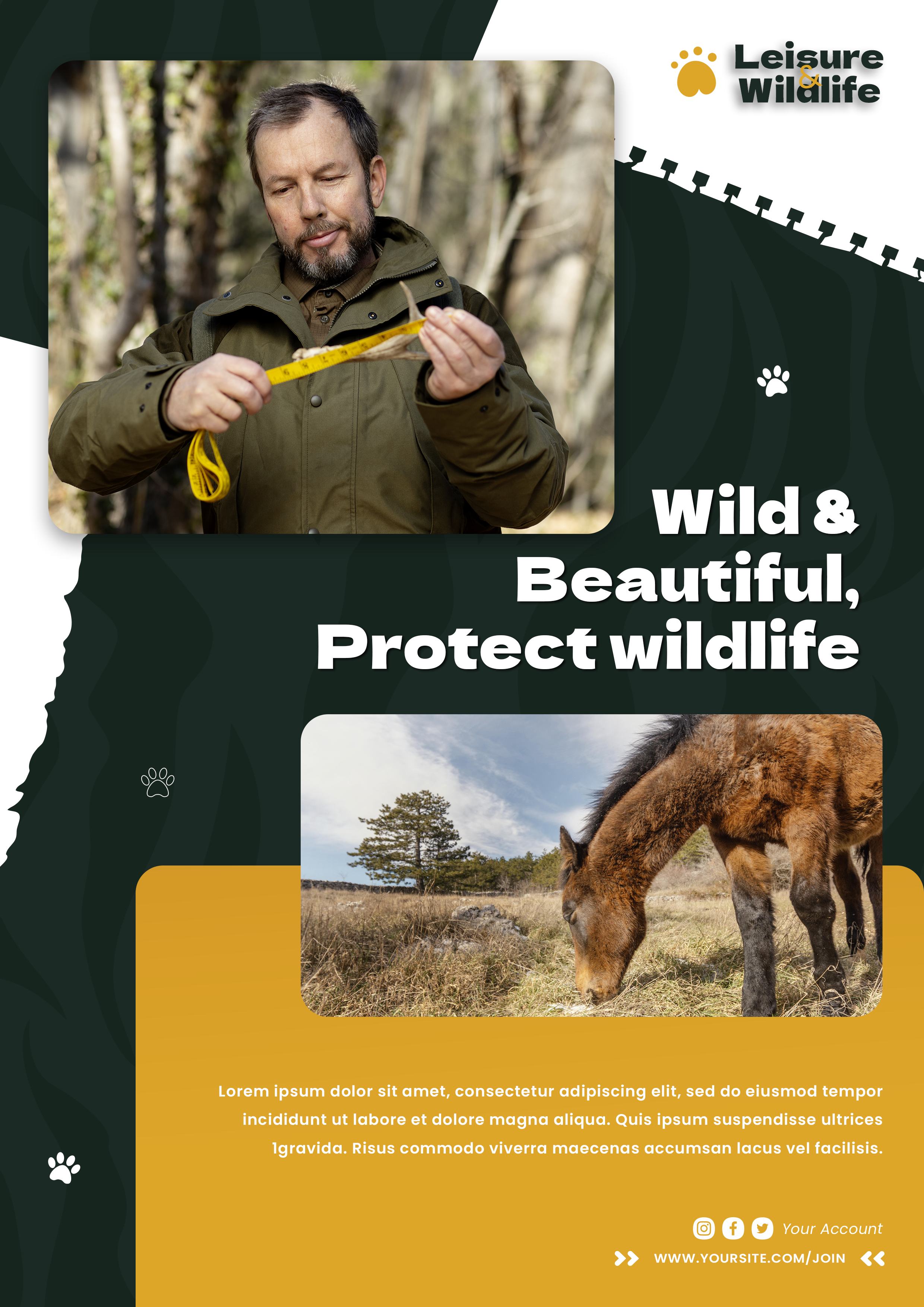  The Ultimate Guide to the Best Bear Attractant for Successful Wildlife Observation