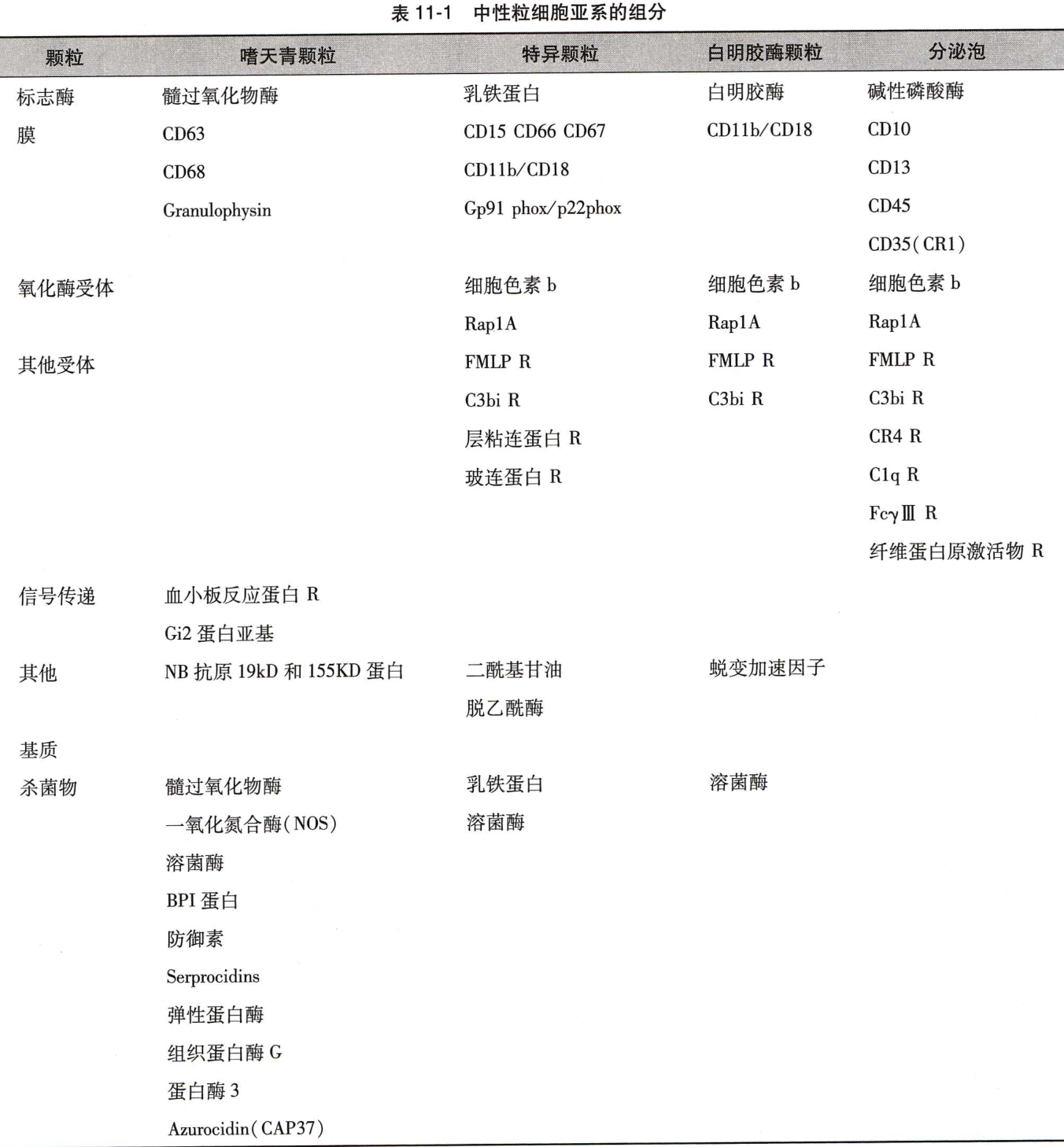 表11-1 中性粒细胞亚系的组分