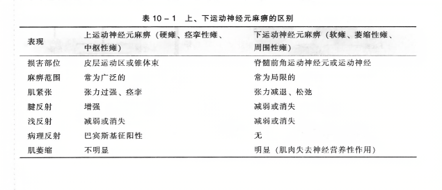 上、下运动神经元麻痹的区别