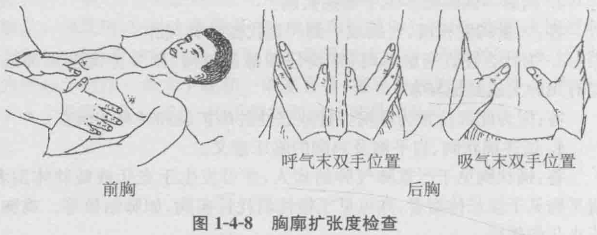 图1-4-8 胸廓扩张度检查