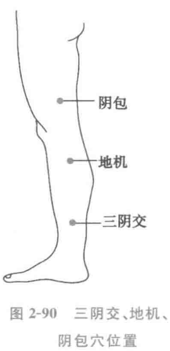 图2-90三阴交、地机、 阴包穴位置