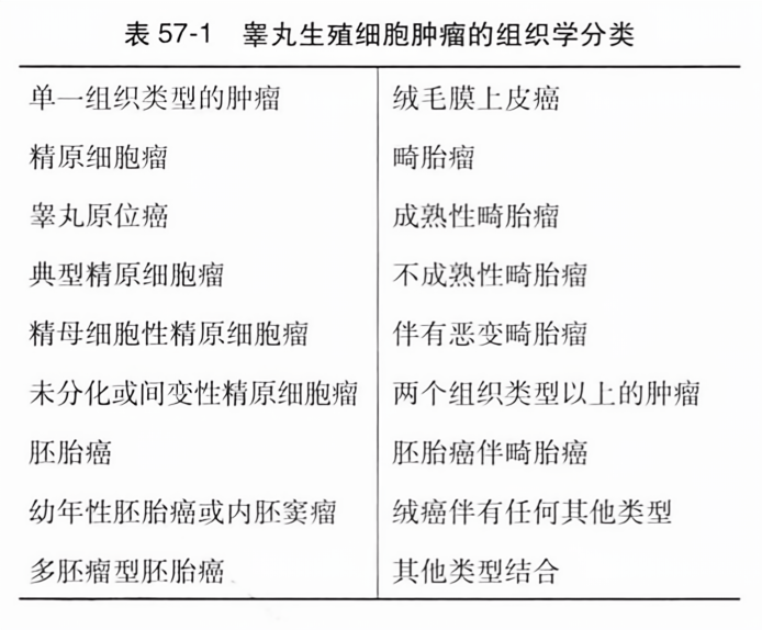 睾丸生殖细胞肿瘤的组织学分类
