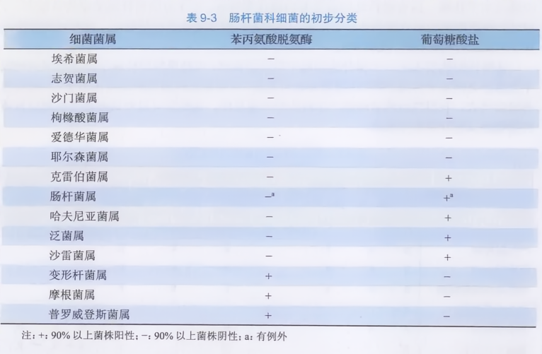 肠杆菌科细菌的初步分类