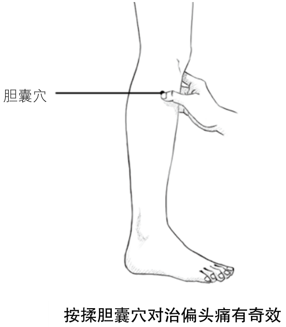 按揉胆囊穴对治偏头痛有奇效