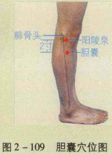图2-109 胆囊穴位图
