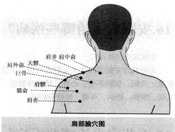 肩部腧穴图