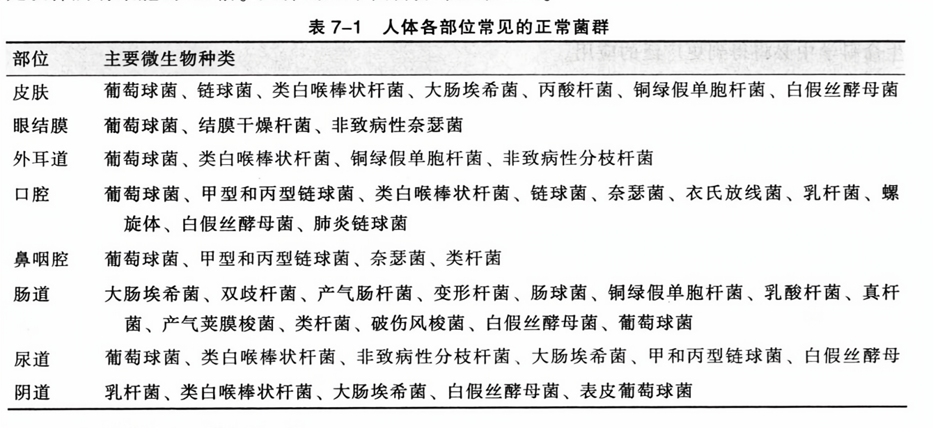 人体各部位常见的正常菌群