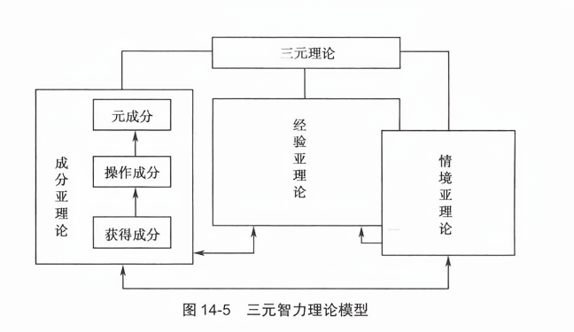 三元智力理论模型