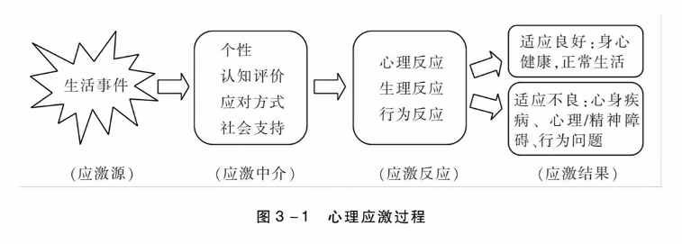 心理应激过程
