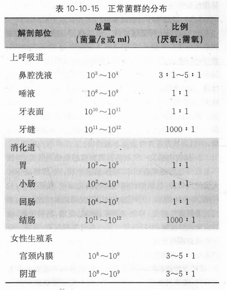 正常菌群的分布