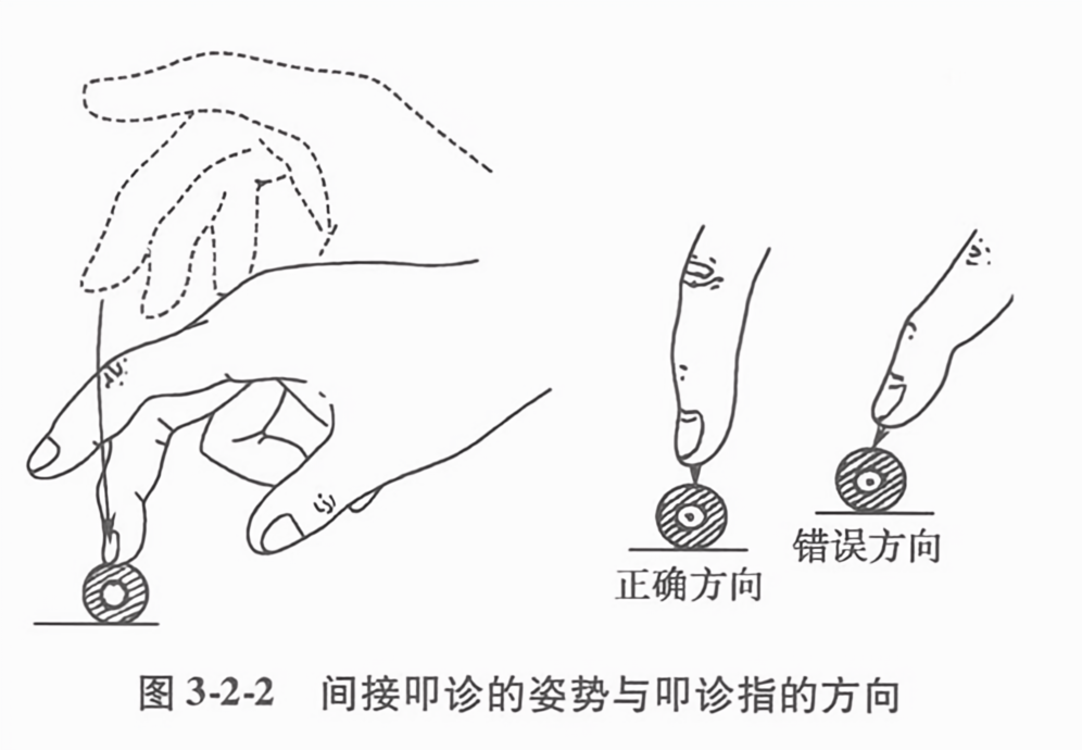 间接叩诊的姿势与叩诊指的方向