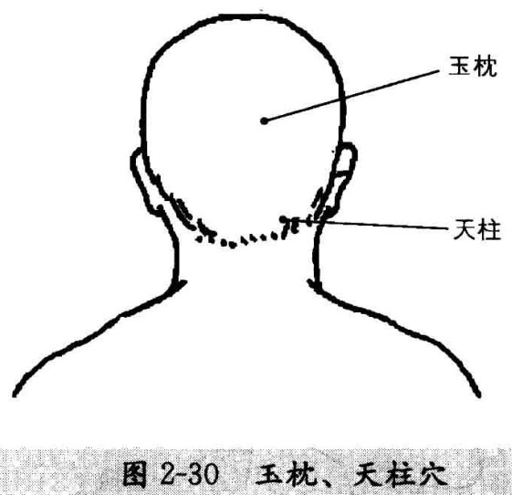 图2-30 玉枕、天柱穴