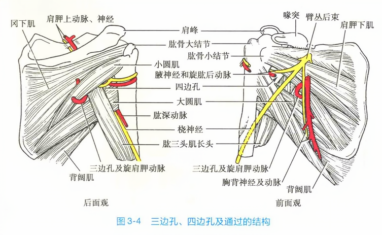 三边孔、四边孔及通过的结构