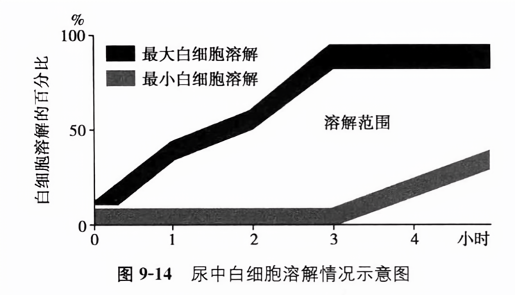 尿中白细胞溶解情况示意图