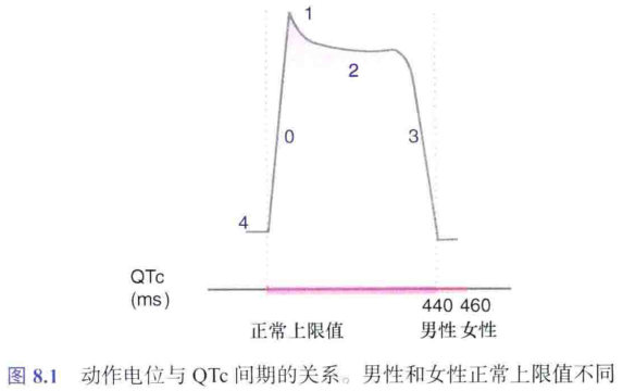 图8.1 动作电位与qtc间期的关系。男性和女性正常上限值不同