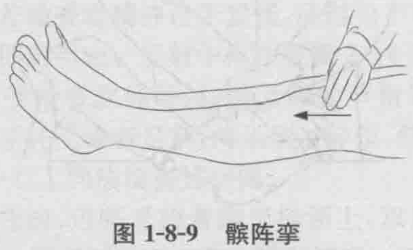 图1-8-9 髌阵挛