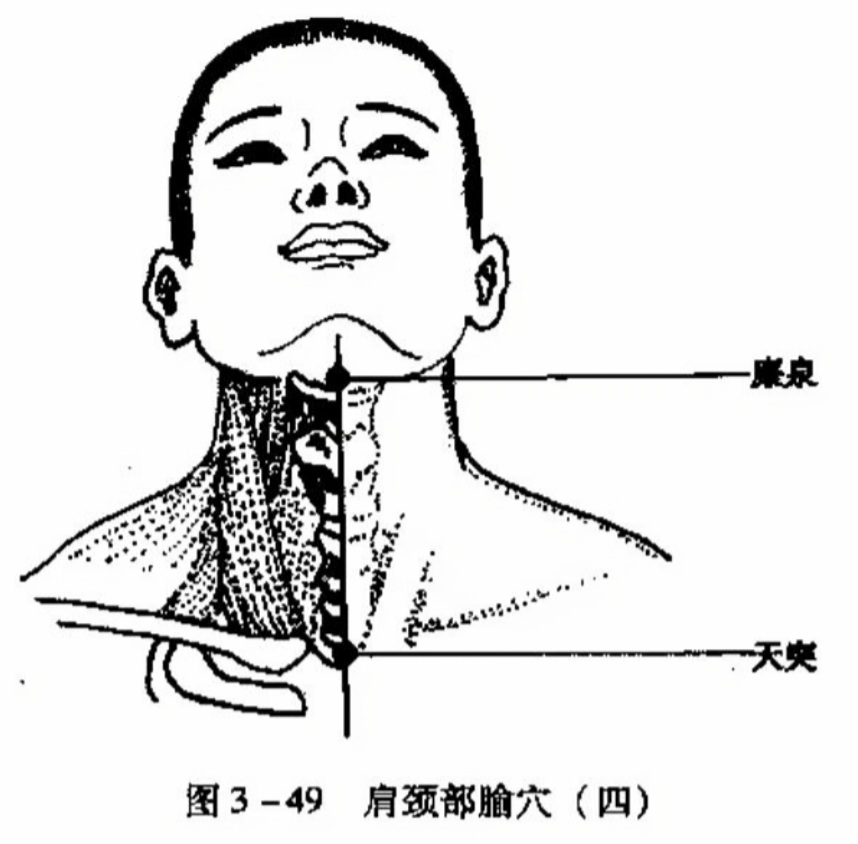 肩颈部腧穴(四)