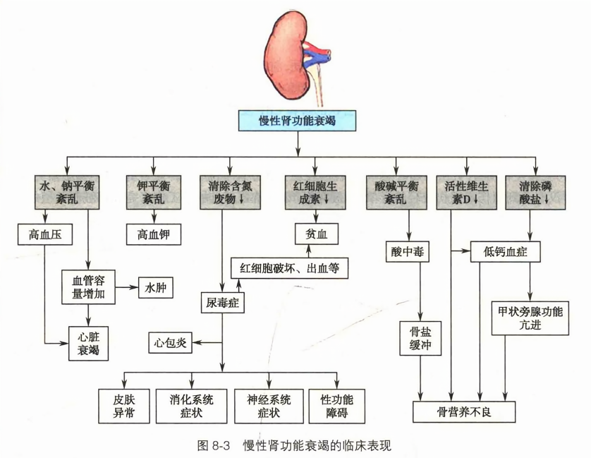 慢性肾功能衰竭的临床表现
