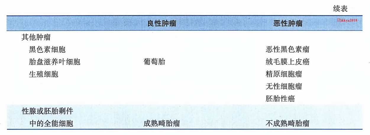 常见肿瘤的分类