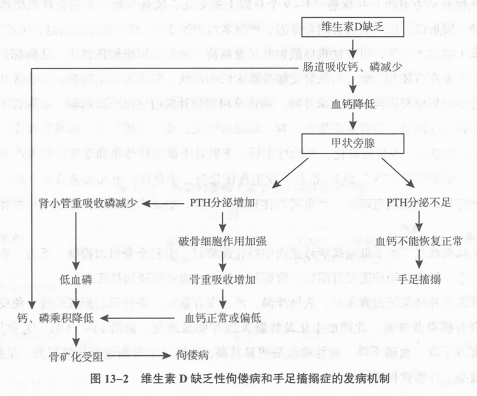 维生素 d缺乏性佝偻病和手足搦症的发病机制