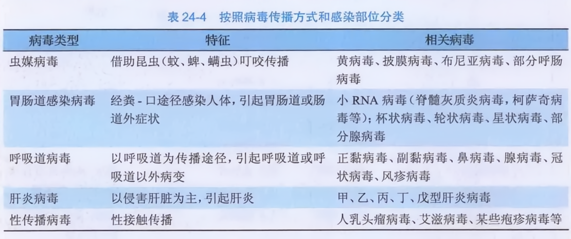 按照病毒传播方式和感染部位分类