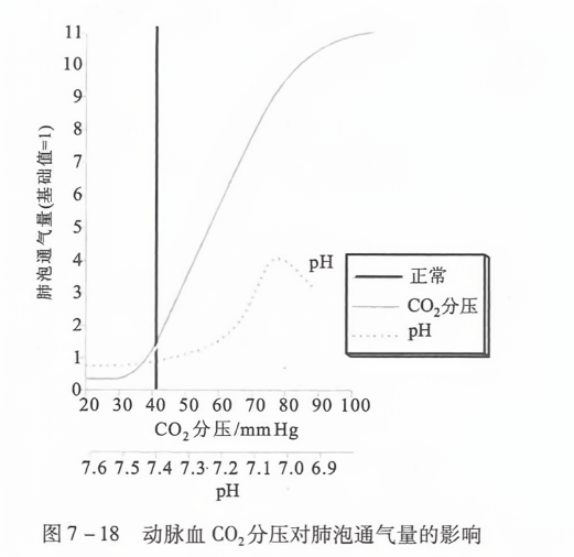 动脉血co2分压对肺泡通气量的影响
