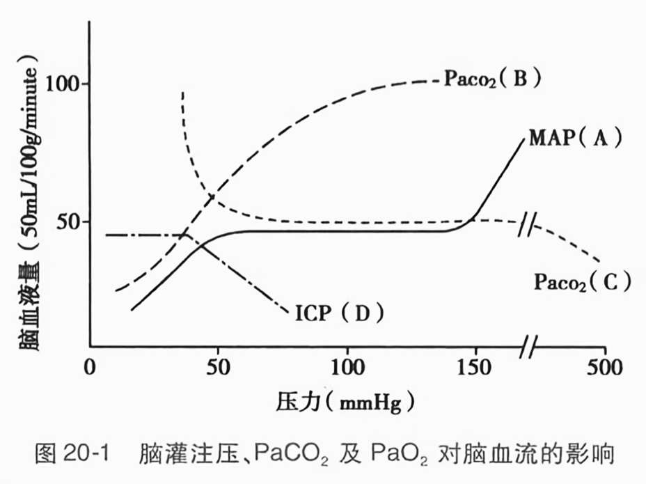 脑灌注压、paco2及 pao2对脑血流的影响