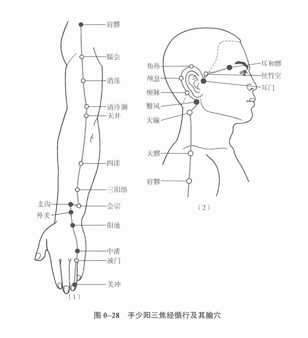 手少阳三焦经循行及其腧穴