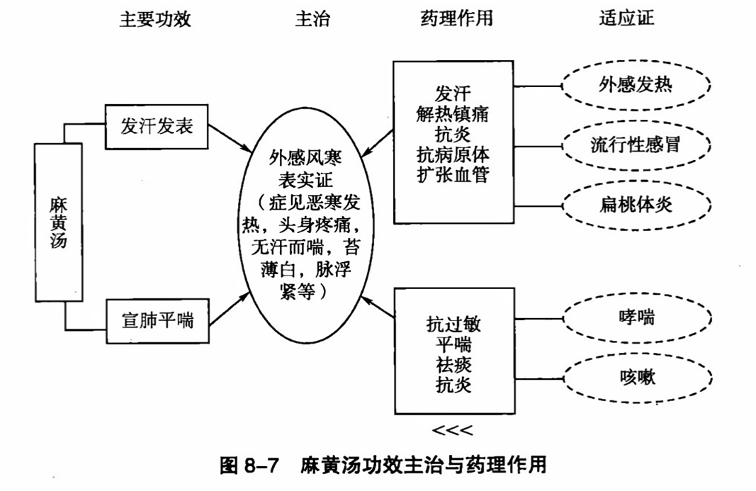 麻黄汤功效主治与药理作用
