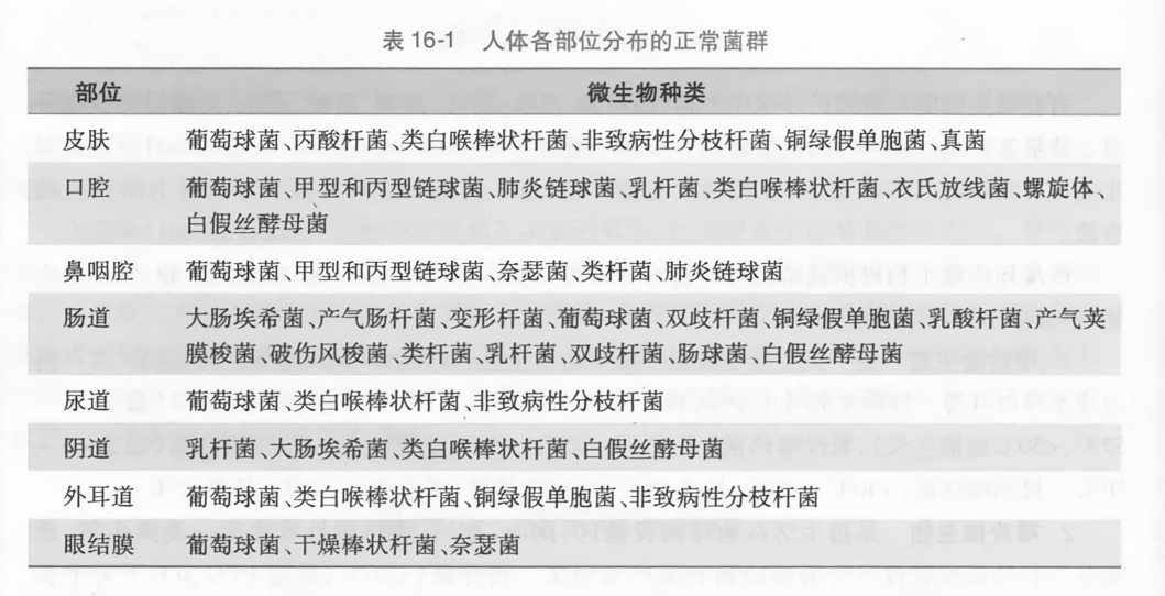 人体各部位分布的正常菌群
