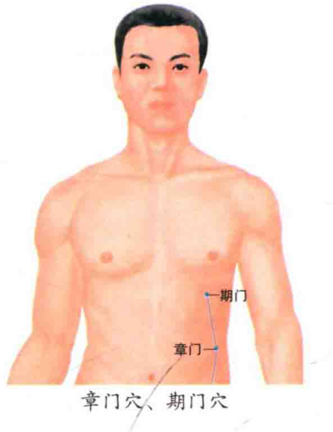 章门穴、期门穴