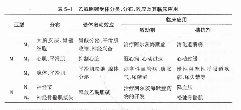 乙酰胆碱受体分类、分布、效应及其临床应用