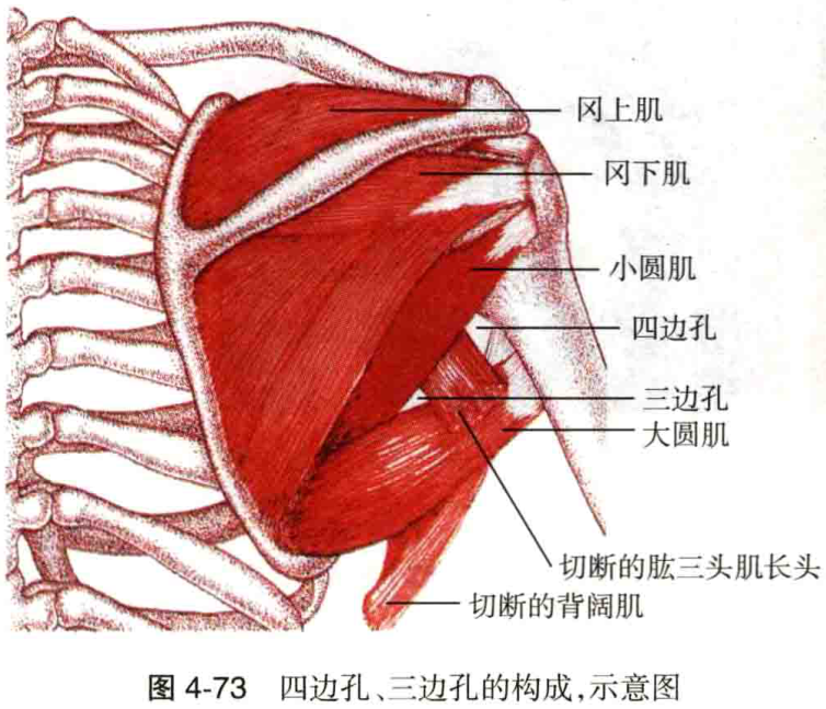 图4-73 四边孔、三边孔的构成,示意图