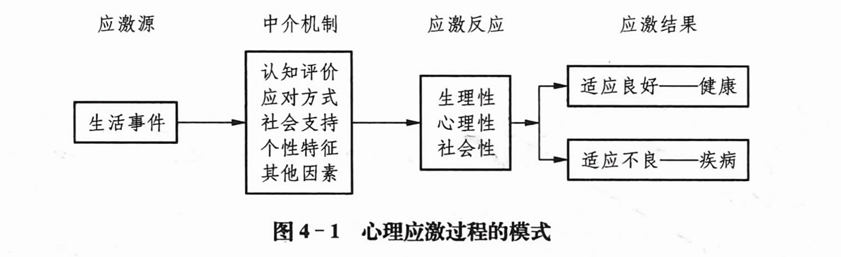 心理应激过程的模式