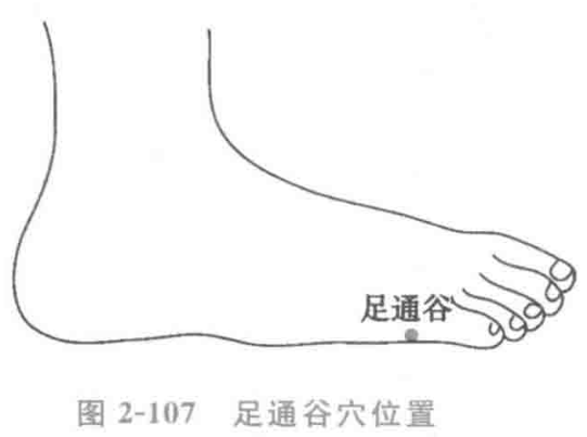 图2-107 足通谷穴位置