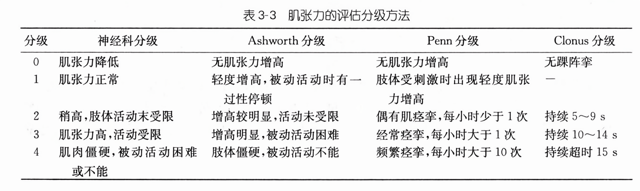 肌张力的评估分级方法
