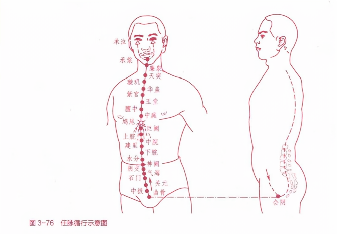 任脉循行示意图
