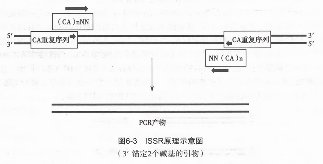 is-is协议基本工作原理（is-is协议配置）  第1张