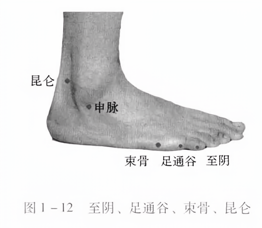 至阴、足通谷、束骨、昆仑