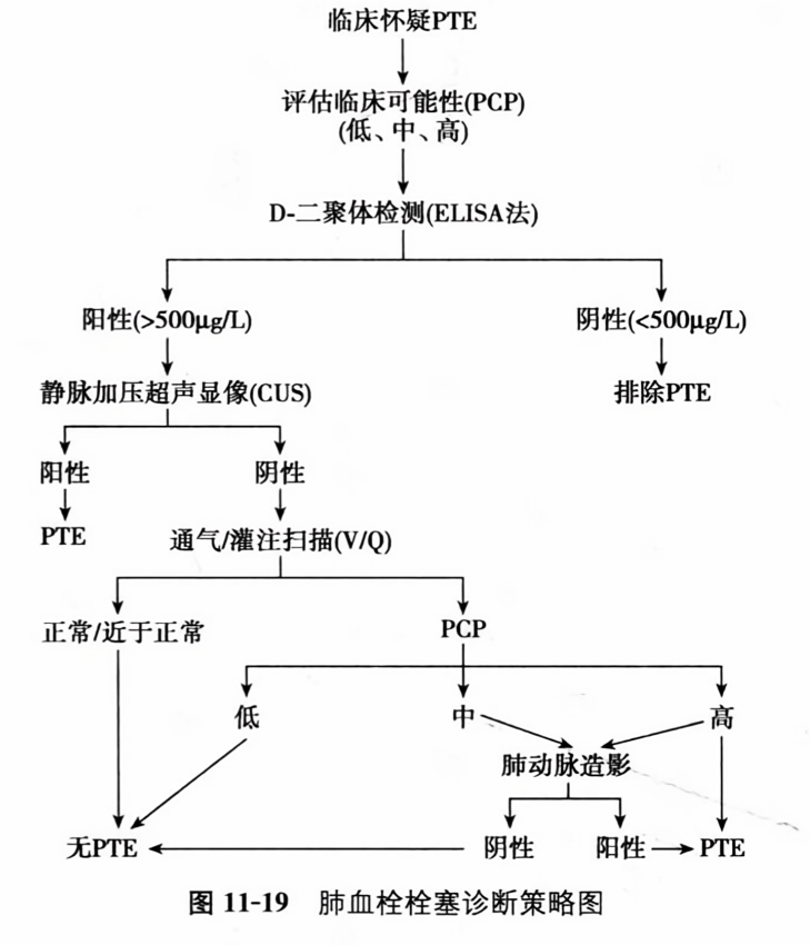 肺血栓栓塞诊断策略图
