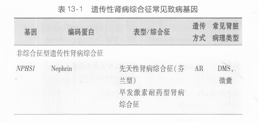 遗传性肾病综合征常见致病基因-1