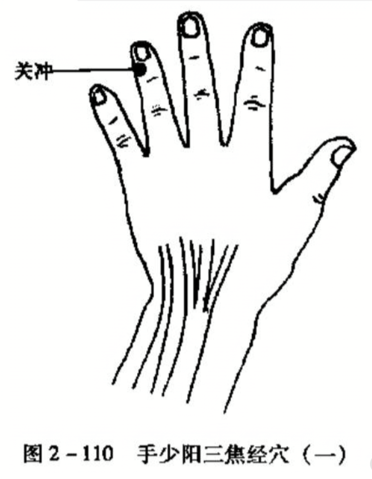 手少阳三焦经穴(一)